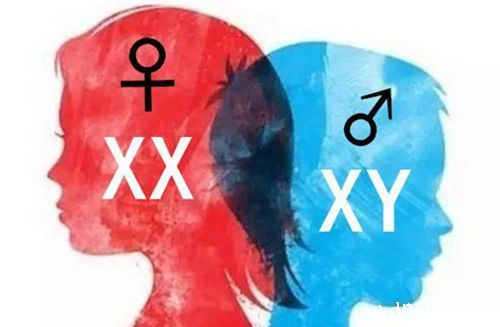 香港验血没Y就一定是女孩吗? 香港验血没Y就一定是女孩吗?