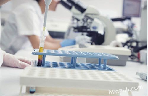 胎儿亲子鉴定结果有法律效力吗? 胎儿亲子鉴定结果有法律效力吗?