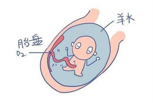 香港验血查男女真的很准,我的亲身经历分享给大家